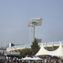 서항근린공원 | 창원시 2026 나무 나누어주기 행사에서 나무 받아온 후기