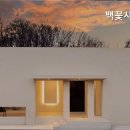 백꽃사랑하이빛 네이버블로그
