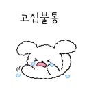 카페이끌리다