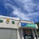 영월약수터 오토캠핑장 이미지