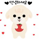 해솔중기 이미지
