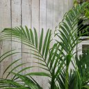 상남동279 이미지