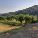 가시버시 민박 이미지