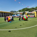 안의초등학교 이미지