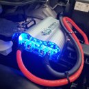 에코레이 이미지