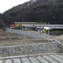 대자원