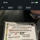 고야식당 네이버블로그