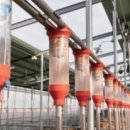 석준농장 이미지