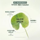 인셀덤강화 | 🔥4주 만에 달라진 피부 탄력! 인셀덤 더마톨로지 크림 리얼 후기