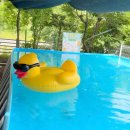 레티피코 이미지