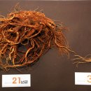 장생약국 이미지