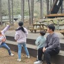 성수산 왕의숲 국민여가캠핑장 이미지