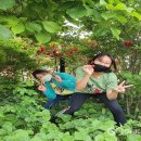 장연초등학교 이미지