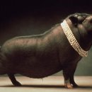 일이메디칼 이미지