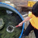 지한농장 이미지