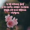 ☆ 반복된 생활 , 발전된 습득 ~ 이미지