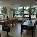 숲속의오리 | [남양주 자작나무 숲속오리] 다산역 오리로스 후기