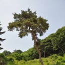 신라고등학교 이미지