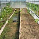 이쁜농장 이미지