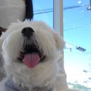 해담동물의료센터 이미지