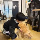 이리오시개 이미지