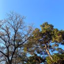 대일농장한우전문식당 이미지