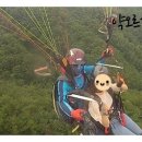 썬미트 이미지