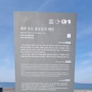 제주도 차박&amp;캠핑 한달살이 21일차-우도 2박3일 캠핑 첫날 이미지