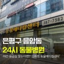 24시스마트동물메디컬센터 이미지