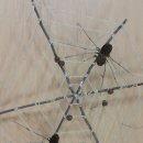 예림초등학교 이미지