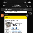 하늘캠핑장 네이버블로그