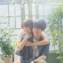 366 | [366일] 후기 리뷰 평점 정보 줄거리 출연진 넷플릭스 오키나와연인