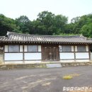 신호묘 이미지