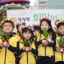 희망의 나무 이미지