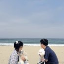 프롬도마 | 맛집 놀거리 추천 | 애견동반 되는곳 안되는곳 | 강릉쌍둥이동물농장, 고선생화덕구이, 강문해변, 프롬도마