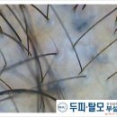 인자스튜디오 이미지