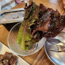 수백 | $내돈내산$ 모들국밥 수백 솔직 후기