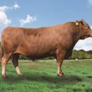 경상북도 축산기술연구소 이미지