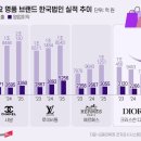 디올 한국서 실적 부진? 명품 4대장 위상 흔들리는 진짜 이유