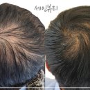세인뷰티 - 강북구 | 세인뷰티