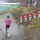 술집(ZIP)에 이미지