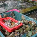 해남가스충전소 | [전남/해남]땅끝기념탑 인증샷도 남기고/싱싱한 전복을 직접 조리해먹기/ 땅끝해양자연사박물관을...