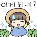 민들레플라워 - 서대문구 통일로 381 | 민들레플라워