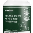 간식타이밍 | 간식 시간만 바꿨을 뿐인데? 오후 혈당 스파이크 막는 똑똑한 간식 타이밍 후기