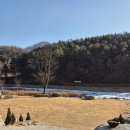 가나부분정비 | 양평카페 추천 자연과 현대적 감각의 만남, 양평 대형카페 ‘콘크리트 정글’ 주말 데이트 후기