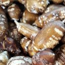 이영우농장 이미지