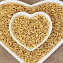 호라마트 이미지