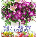 꽃향기 이미지