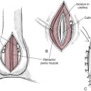 사하동물병원 이미지