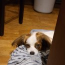 청두곶6길 8 이미지